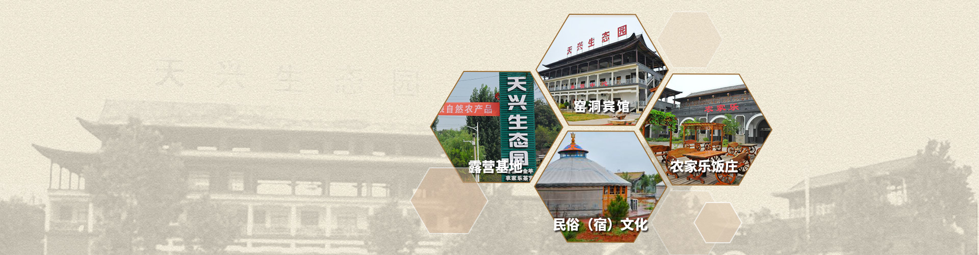 河南省天興農業科技開發有限公司