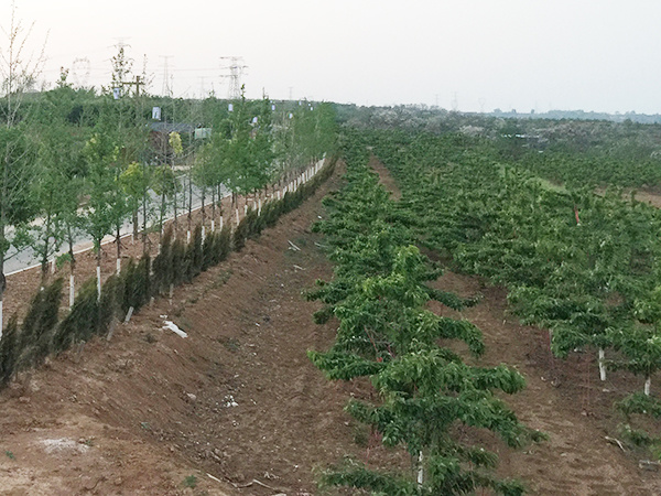 生產基地