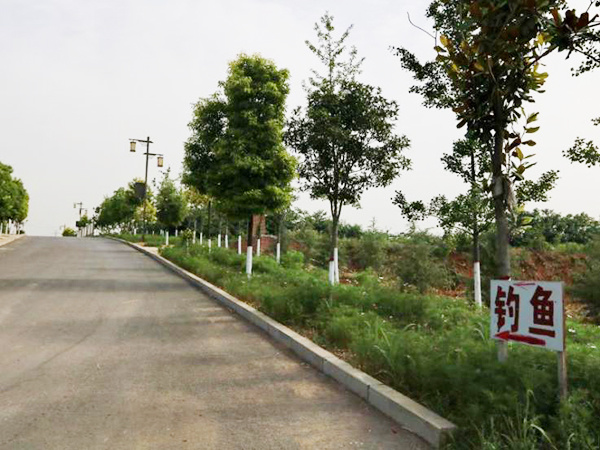 生產基地