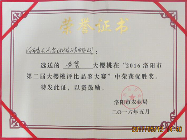 2016洛陽市第二屆大櫻桃評比品鑒大賽優勝獎