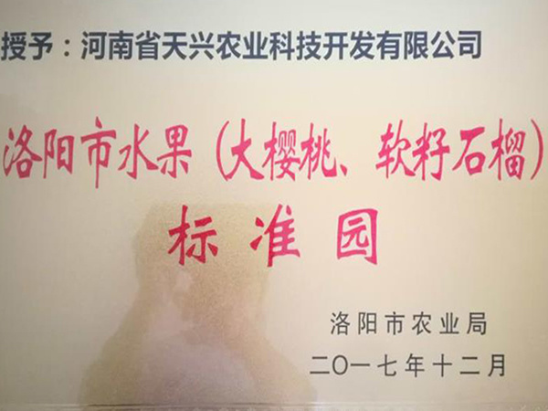 洛陽市水果（大櫻桃、軟籽石榴）標準園