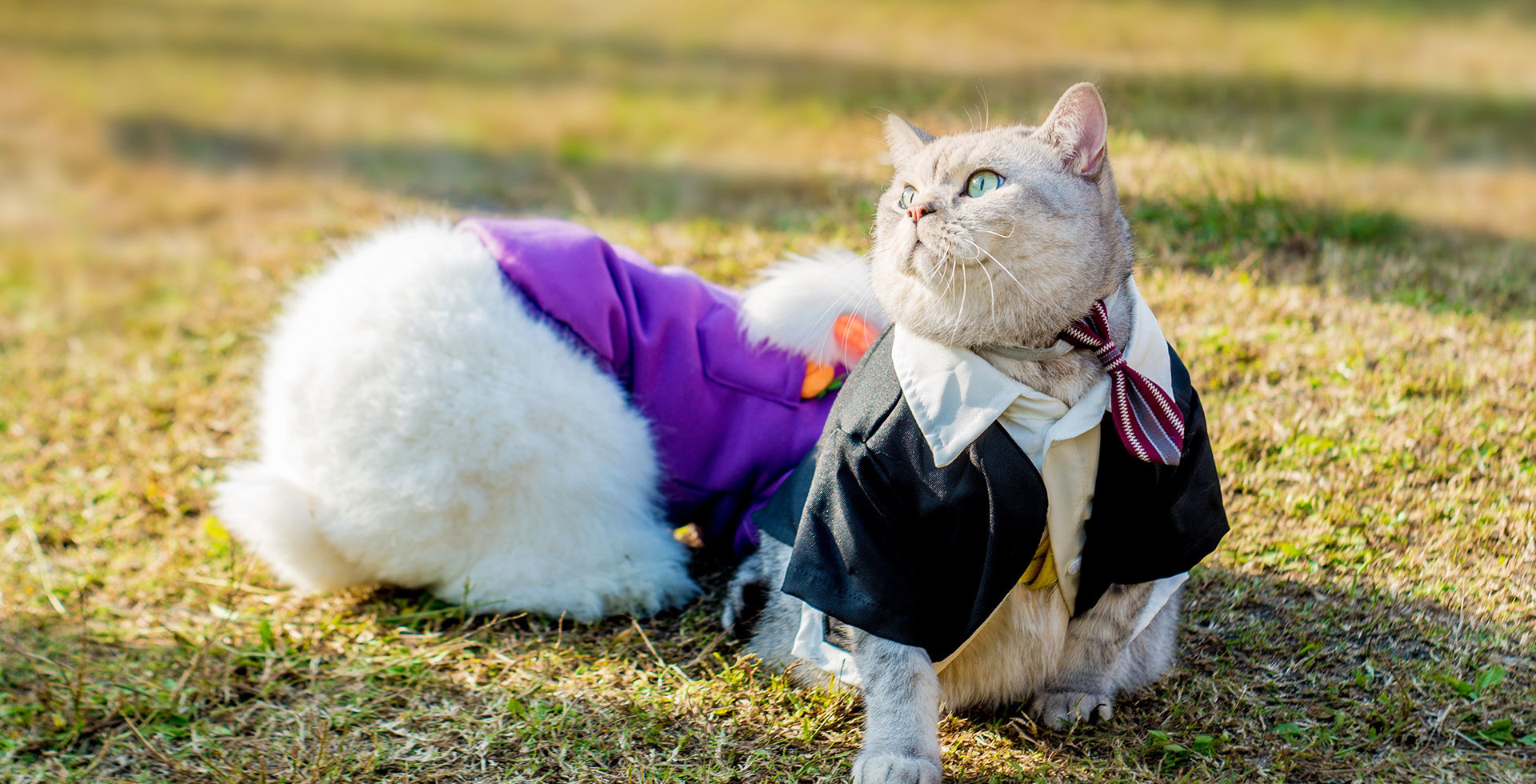 校服、工装