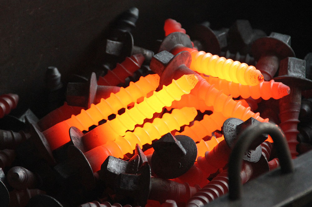 Rail screw spike