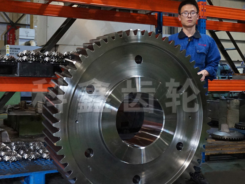 Large cylindrical gear