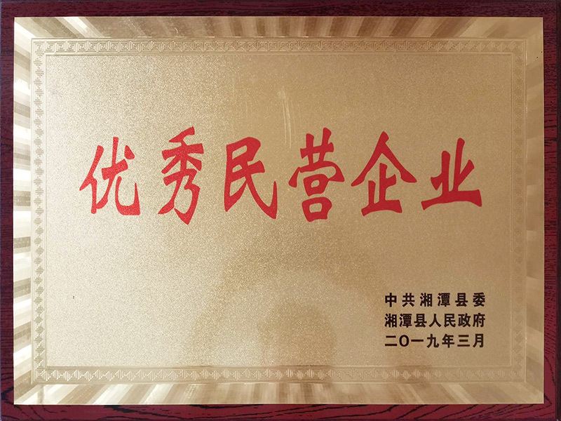 潭县优秀民营企业奖牌