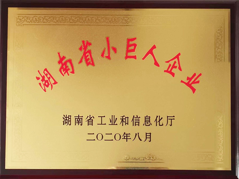 湖南省小巨人企业牌匾
