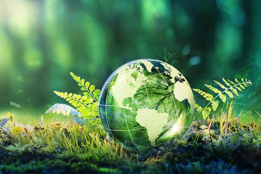 Sustainable Development of LUYUAN Group