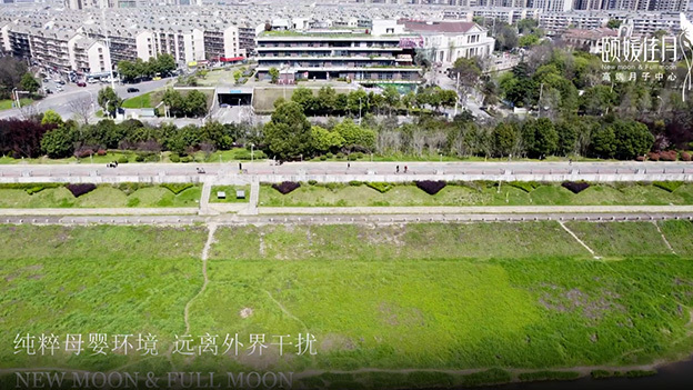 頤媛佳月婚慶園店丨環(huán)境宣傳片 頤媛佳月婚慶園店丨環(huán)境宣傳片