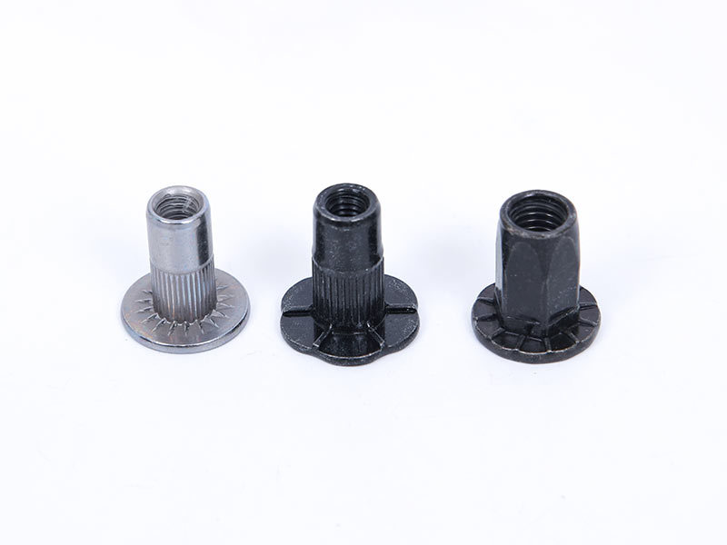 Automobile rivet nut