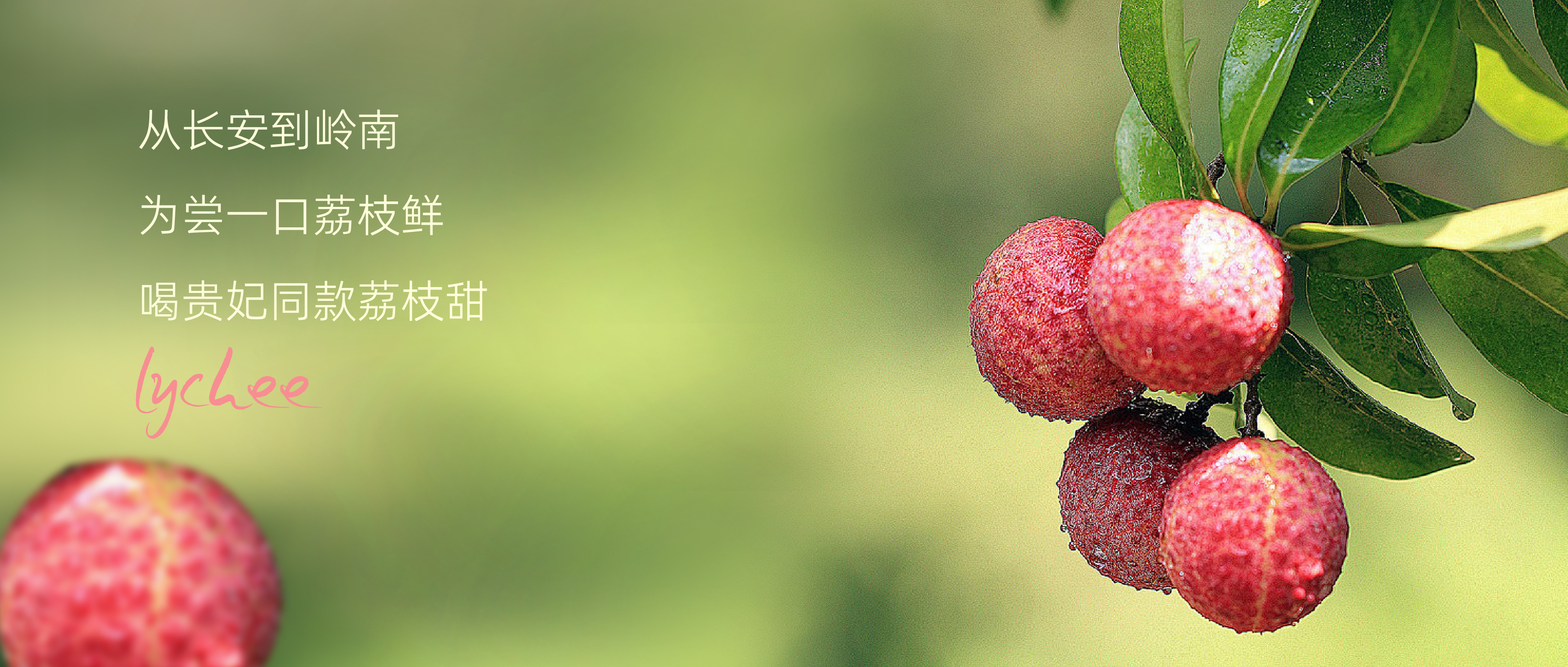 抽1000张免单券 | 贵妃同款荔枝甜上新！