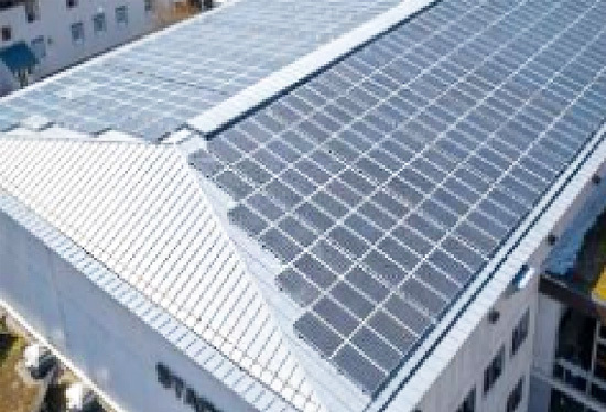 Photovoltaic flexible backsheet