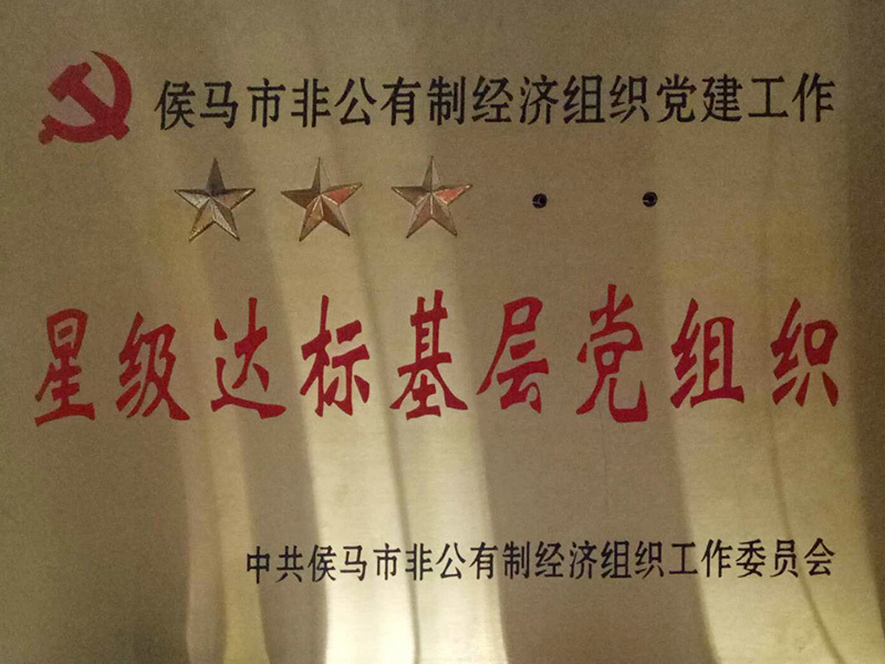 Star-level grass-roots party organizations