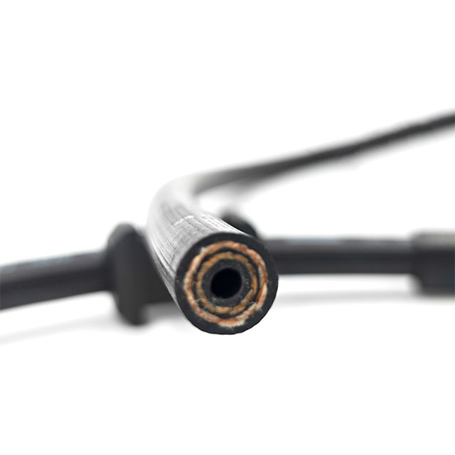 Factory Manufacturing Hydraulic Brake Hose Assembly