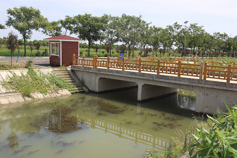 2020年蔡甸區消泗鄉小農水水毀災后重建項目 (2)