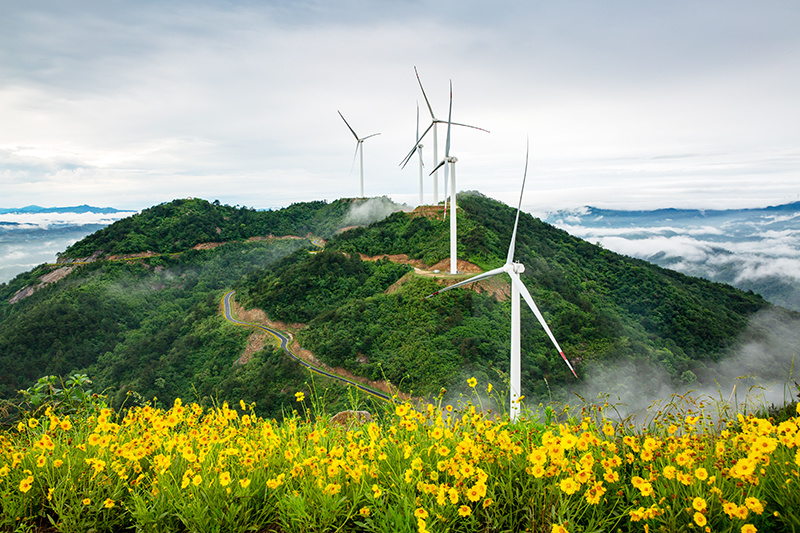 中廣核陽平風電場水土保持修復工程 (1)
