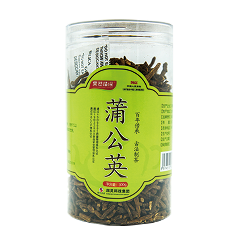 蒲公英