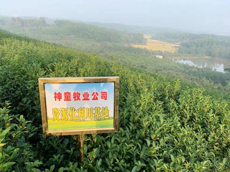 黃荊塘基地