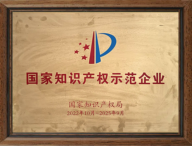 国家知识产权示范企业