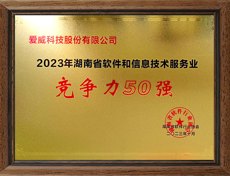 湖南省软件和信息技术服务综合竞争力50强