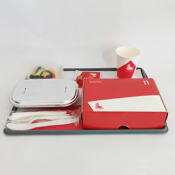 Discover the Future of Dining: The Airline Biodegradable Tableware Set