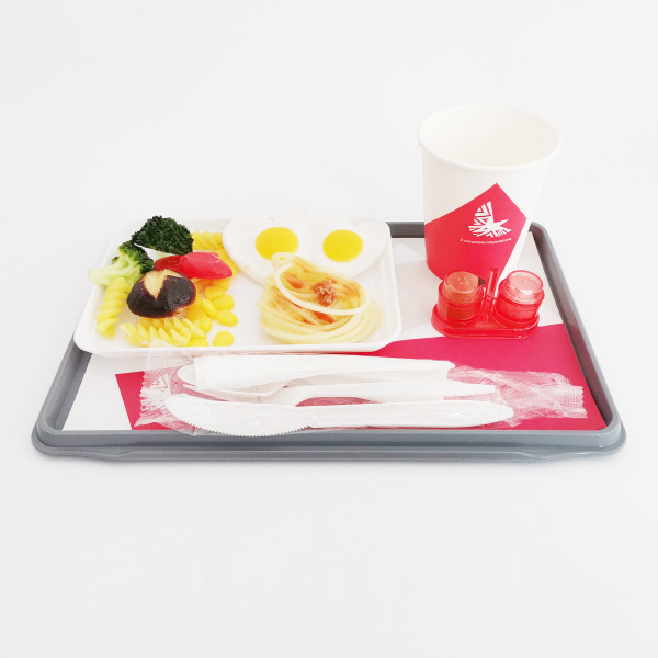 Ratable Tableware Sets: Revolutionizing Airline Dining Experience