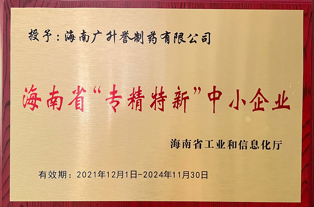 海南省专精特新中小企业