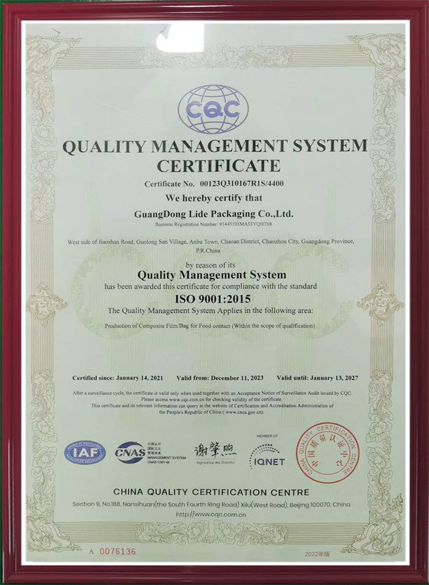 ISO 9001 En