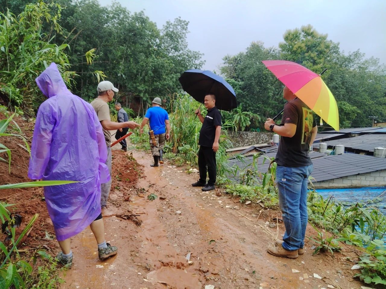 景洪農場有限責任公司以“雨”為令，以“迅”應“汛”，共同筑牢汛期“安全網”