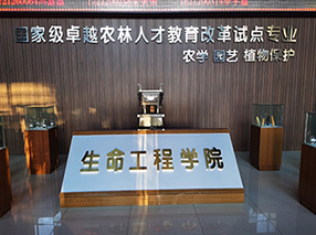 企業(yè)環(huán)境