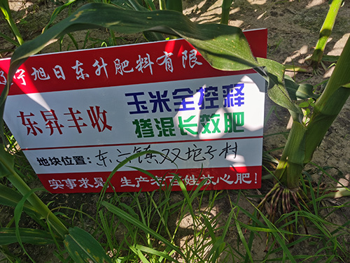 技術(shù)案例