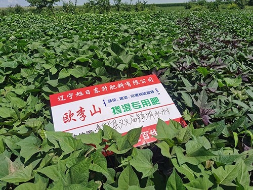 技術(shù)案例