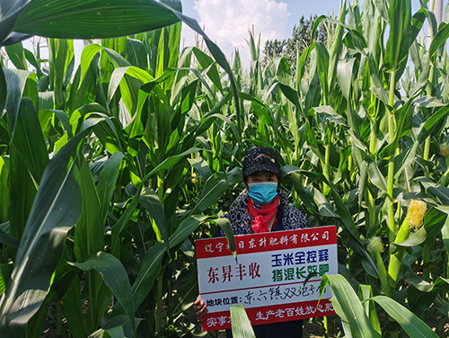 技術(shù)案例