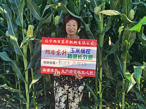 技術(shù)案例