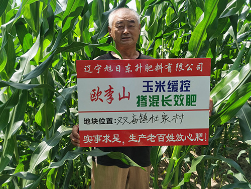 技術(shù)案例