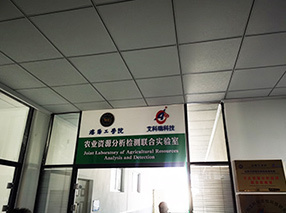 企業(yè)環(huán)境