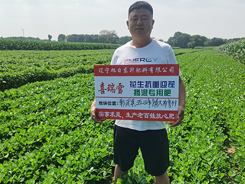 技術(shù)案例