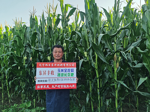技術(shù)案例