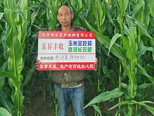 技術(shù)案例