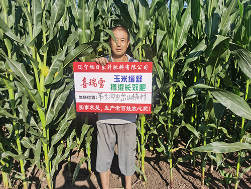 技術(shù)案例