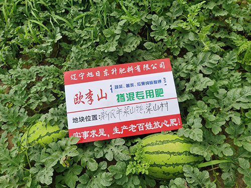 技術(shù)案例
