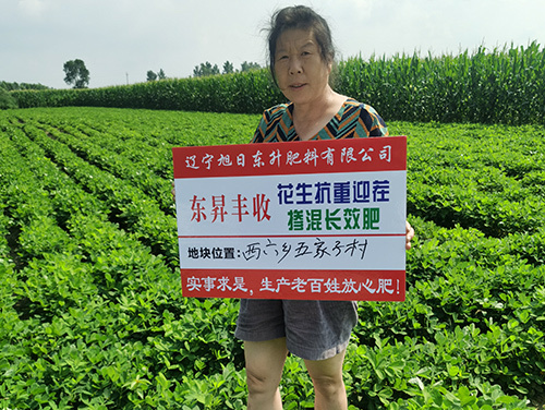 技術(shù)案例