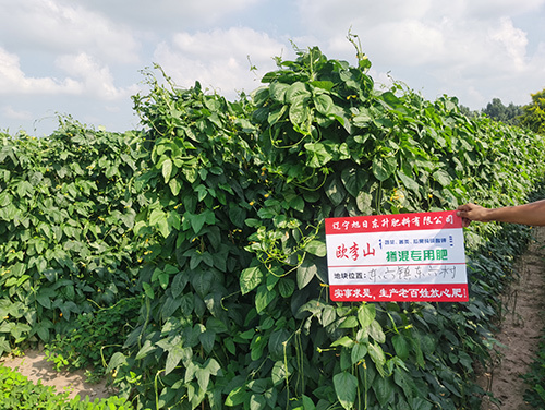 技術(shù)案例