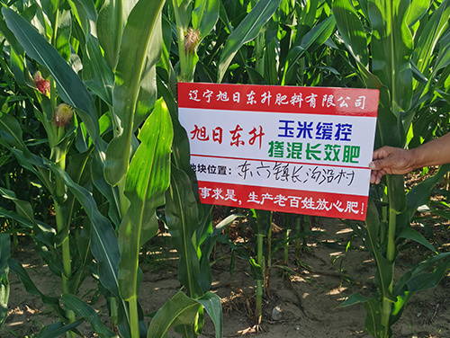 技術(shù)案例