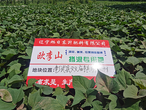 技術(shù)案例