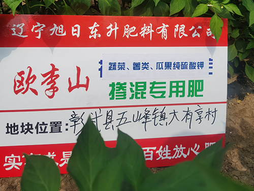 技術(shù)案例