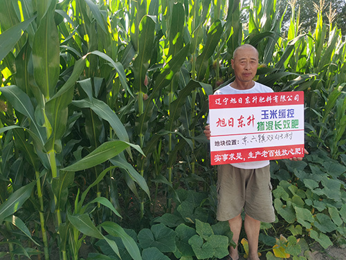 技術(shù)案例