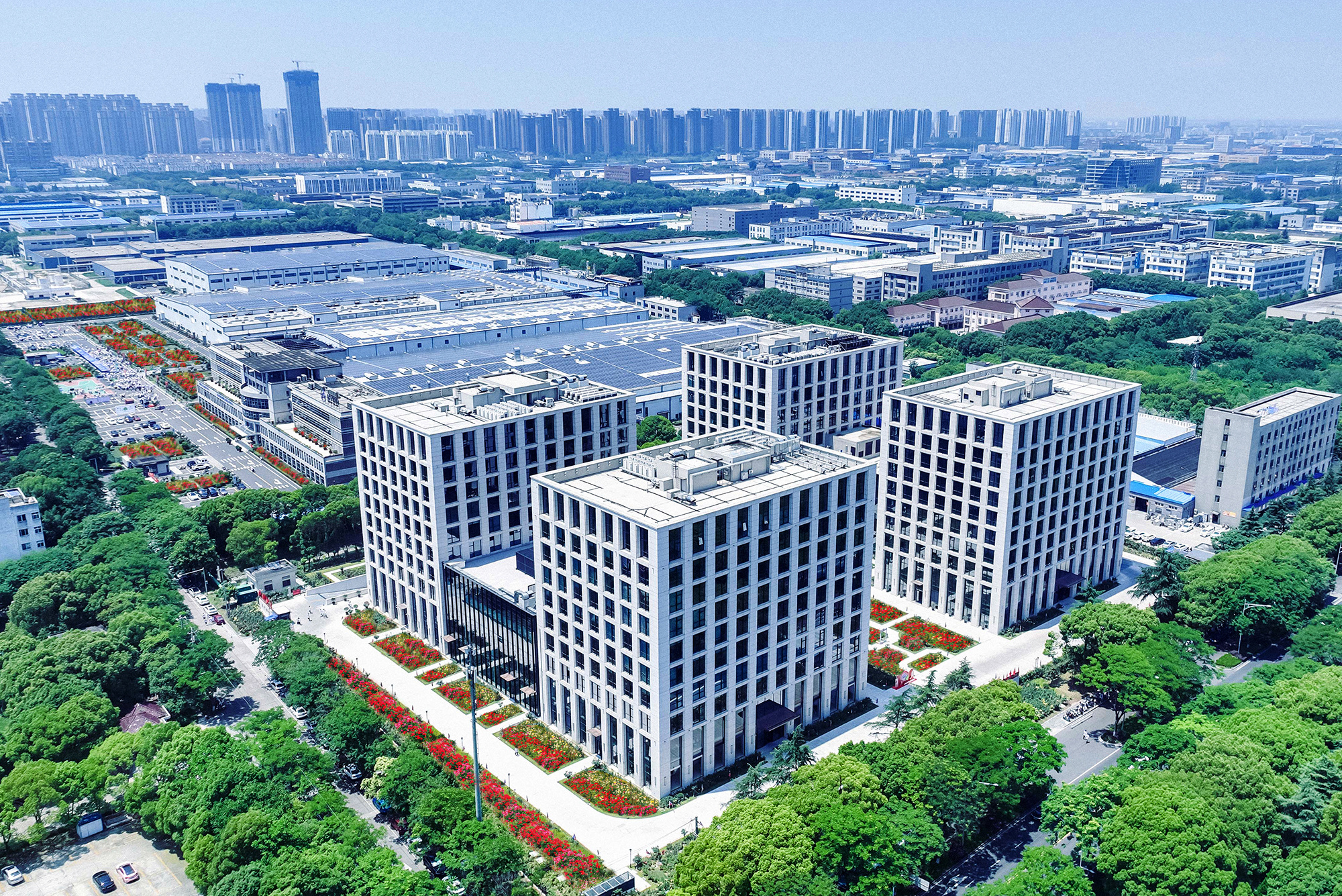 图片名称