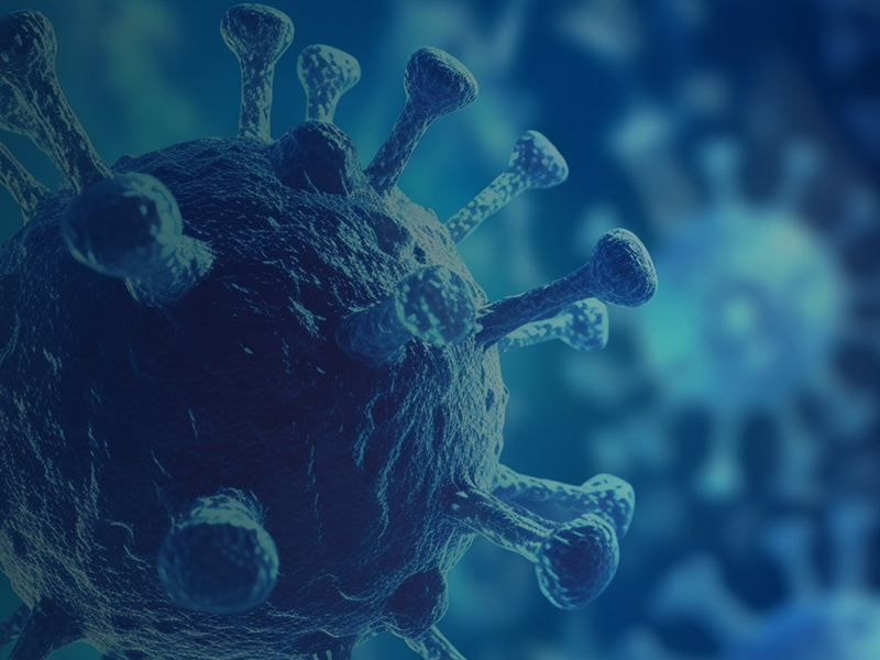 Virus identification
