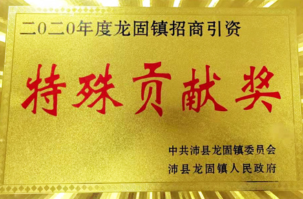Investment Promotion - Special Contribution Award Investment Promotion - Special Contribution Award