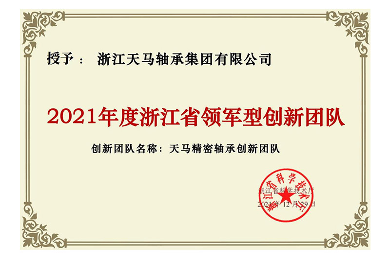 2021年度浙江省领军型创新团队 2021年度浙江省领军型创新团队